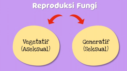 reproduksi fungi
