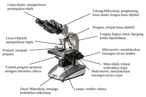 mengenal mikroskop