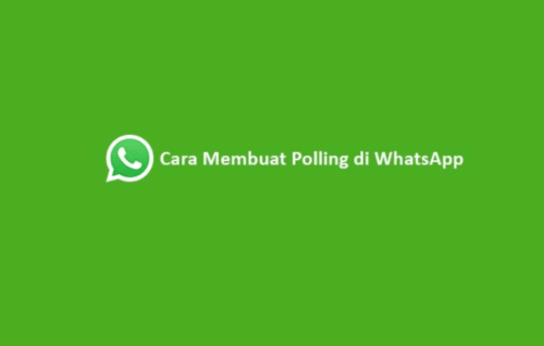 cara buat polling di whatsapp