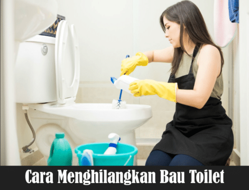 Cara Menghilangkan Bau Toilet