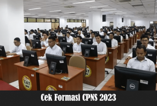 Cek Formasi CPNS 2023
